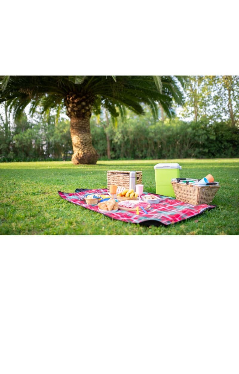 picnic mats and other items